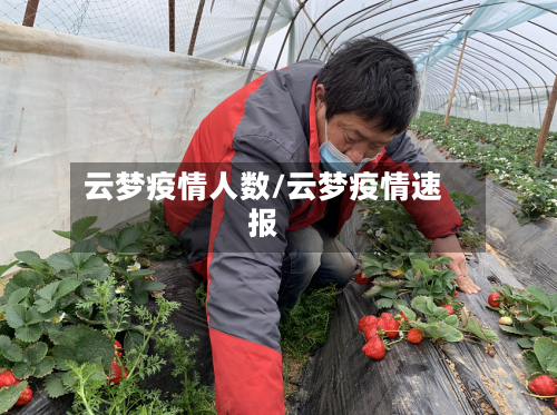 云梦疫情人数/云梦疫情速报