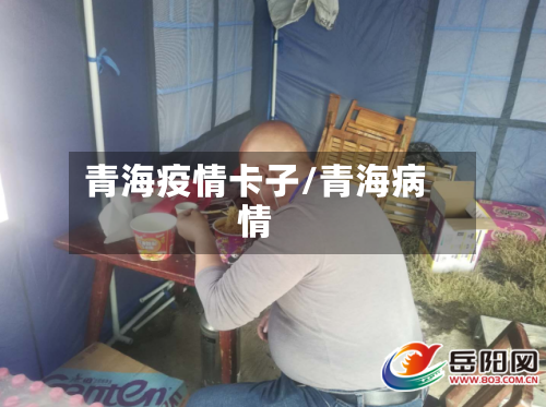 青海疫情卡子/青海病情-第2张图片