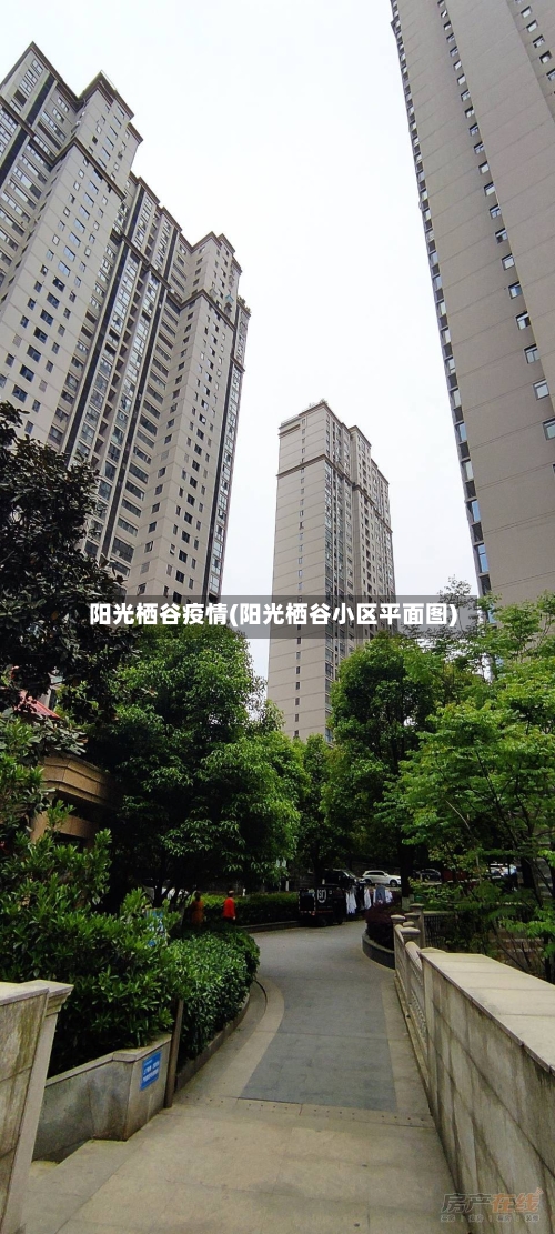 阳光栖谷疫情(阳光栖谷小区平面图)-第2张图片
